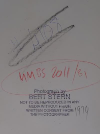 Bert Stern, photograph -  Marilyn Monroe 2