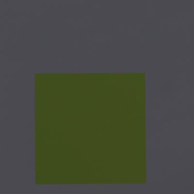 Josef ALBERS: Homage to the Square, Embedded - Color Screenprint 2