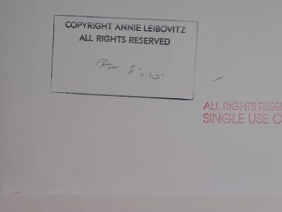 Annie Leibovitz, photograph -  Bob Dylan, 1978 2