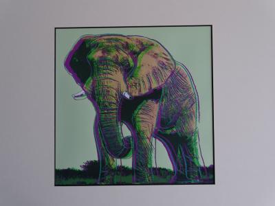 Andy Warhol - Éléphant, extrait de la série Espèces menacées - 1987, sérigraphie