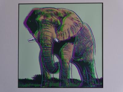Andy Warhol - Éléphant, extrait de la série Espèces menacées - 1987, sérigraphie 2