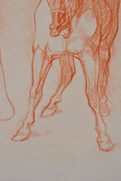 Henri de TOULOUSE-LAUTREC (d’après) - La dresseuse de chien, 1927 , Lithographie signée 2