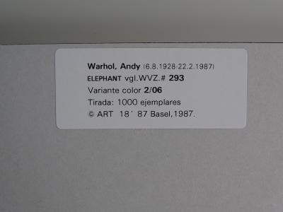 Andy Warhol (d’après) - Elephant - 1987, serigrahy 2