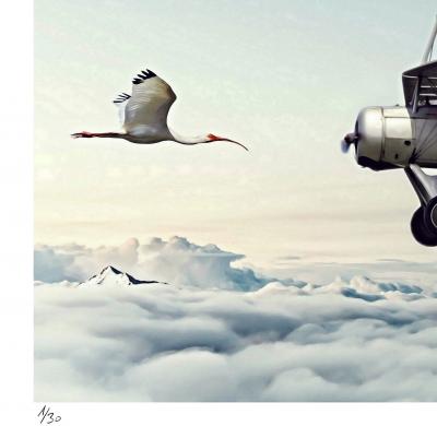 Mr Strange - Meeting, 2019 - Tirage pigmentaire original signé et numéroté 2