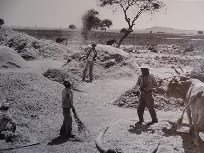 Henri Cartier-Bresson - Mexico - Photolithograph, 1979