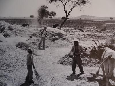 Henri Cartier-Bresson - Mexico - Photolithograph, 1979 2