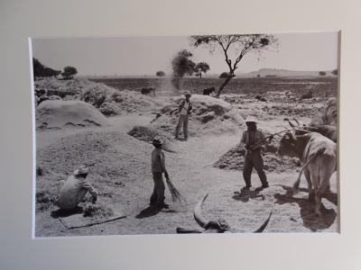 Henri Cartier-Bresson - Mexico - Photolithograph, 1979 2