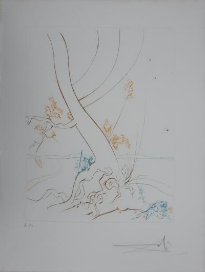 Salvador Dali - Paradis Perdu : L’arbre de la connaissance, 1974 - Gravure originale signée 2