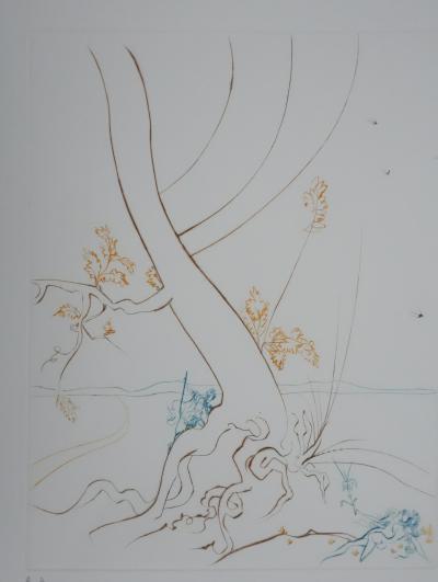 Salvador Dali - Paradis Perdu : L’arbre de la connaissance, 1974 - Gravure originale signée 2