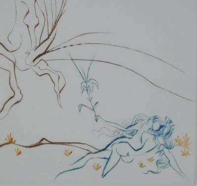 Salvador Dali - Paradis Perdu : L’arbre de la connaissance, 1974 - Gravure originale signée 2