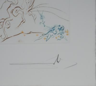 Salvador Dali - Paradis Perdu : L’arbre de la connaissance, 1974 - Gravure originale signée 2