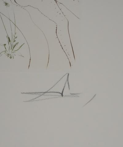 Salvador Dali - Décaméron : Le tonneau, 1972 - Gravure originale signée 2