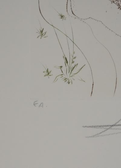 Salvador Dali - Décaméron : Le tonneau, 1972 - Gravure originale signée 2