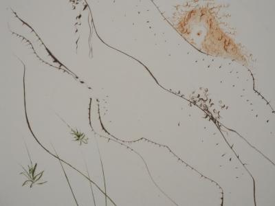 Salvador Dali - Décaméron : Le tonneau, 1972 - Gravure originale signée 2