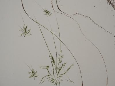 Salvador Dali - Décaméron : Le tonneau, 1972 - Gravure originale signée 2
