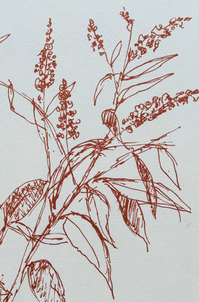 Bernard Cathelin - Branches d’été - Lithographie originale signée crayon numérotée 2