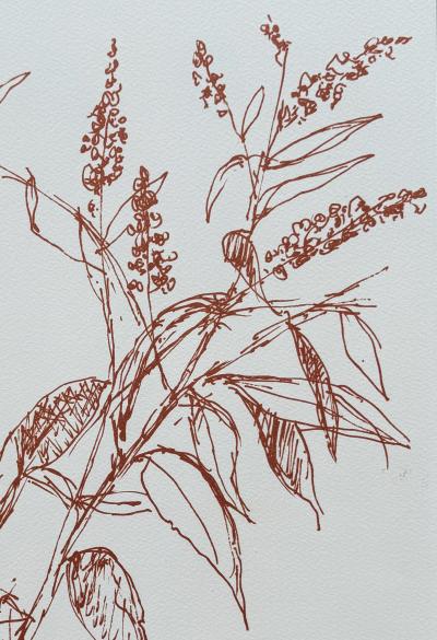 Bernard Cathelin - Branches d’été - Lithographie originale signée crayon numérotée 2