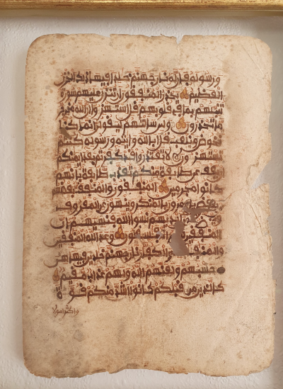feuillet de Coran manuscrits sur parchemin XVe siècle calligraphie maghrébine 2