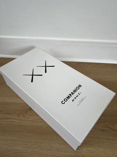 Kaws - PLUSH COMPANION CLEAN SLATE, 2015, Plush 2