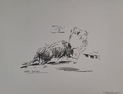 Roberto Domingo y Fallola - Eduardo Anllo, 