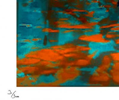 Michel TABANOU - How can we know what is real - Wyoming ballade, 2019 - Sérigraphie originale signée et numérotée 2