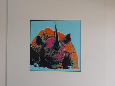 Andy Warhol - Rhino , from Endangered Species -  1987, serigrahy 2