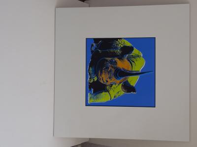 Andy Warhol - Rhinocéros, extrait de la série Espèces menacées - 1987, sérigraphie 2