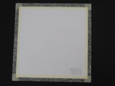 Andy Warhol - Rhinocéros, extrait de la série Espèces menacées - 1987, sérigraphie 2