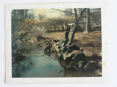 Andy Warhol - Sans titre - Reproduction d’un Polaroid