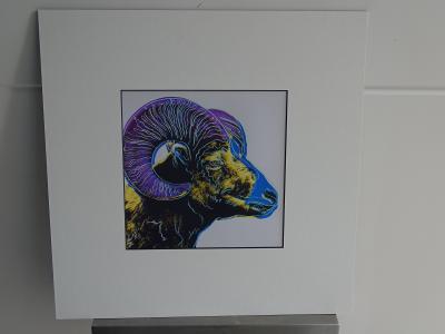 Andy Warhol- Endangered species- Full color Serigraphy 2