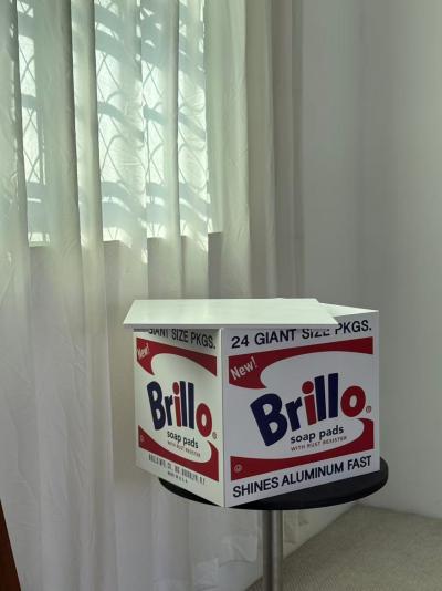 Andy Warho, Brillo Box White (Flat), 2025, Digitaldruck auf Holzbox 2