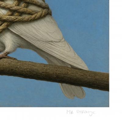 Mr Strange - The Dove - 2026  - Giclée sur papier Hanhemühle 2