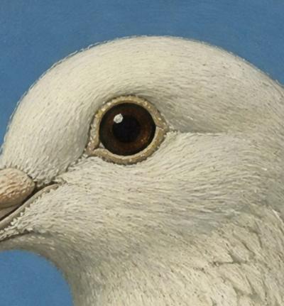 Mr Strange - The Dove - 2026  - Giclée sur papier Hanhemühle 2