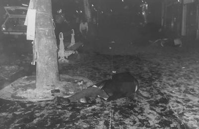 Reporters associes - Manifestants blessés, Mai 68  3 - Tirage argentique 2