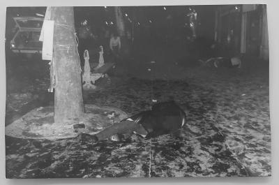 Reporters associes - Manifestants blessés, Mai 68  3 - Tirage argentique 2