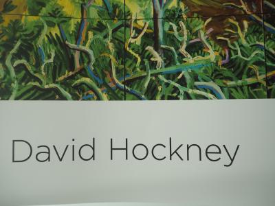 David HOCKNEY : Closer Grand Canyon - Affiche en couleurs 2