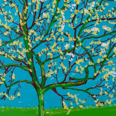 David HOCKNEY : Le cerisier en fleurs - Affiche originale en couleurs 2