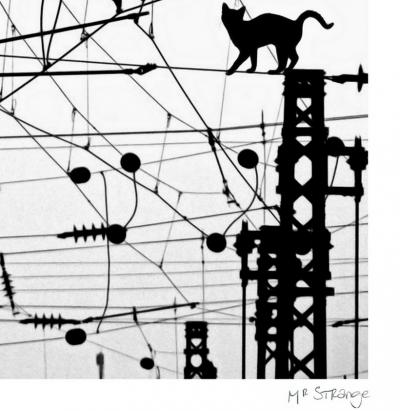 Mr STRANGE - La centrale Electrique, 2021 - Sérigraphie originale signée et numérotée 2
