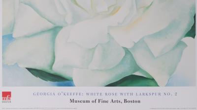 Georgia O'KEEFE : White rose with Larkspur - Affiche originale 2