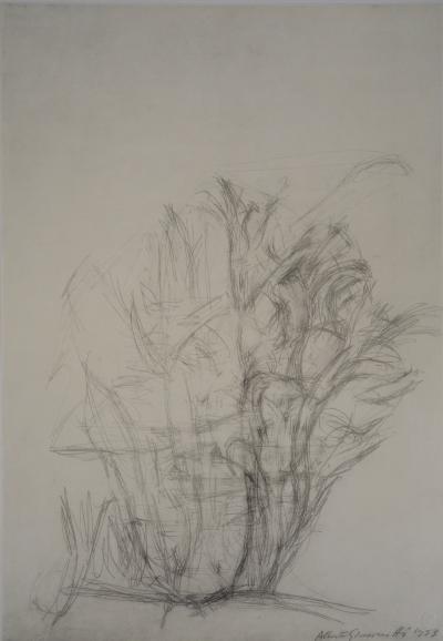 Alberto GIACOMETTI: Trees - Signed lithograph 2