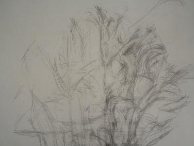 Alberto GIACOMETTI: Trees - Signed lithograph 2