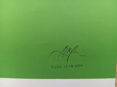 Jean (Hans) ARP - Affiche lithographique originale - Galerie 