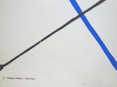 Alexander CALDER : Flèches  - Lithographie originale signée 2