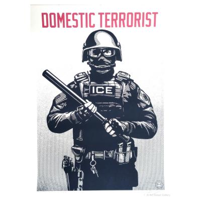 Shepard FAIREY (Obey) - Projection Mirror: Domestic Terrorist 2