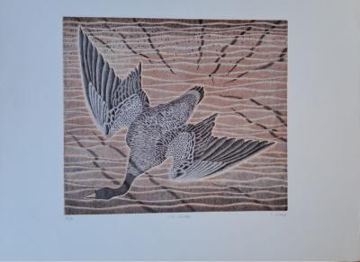 Mr Giraud - L’oie cendrée - Lithographie originale, signée et numérotée au crayon 2