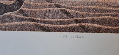 Mr Giraud - L’oie cendrée - Lithographie originale, signée et numérotée au crayon 2