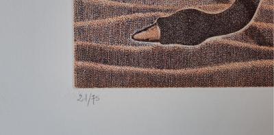 Mr Giraud - L’oie cendrée - Lithographie originale, signée et numérotée au crayon 2