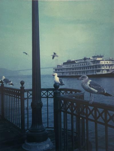 Marion BARAT - Pier 39, San Francisco, 2008 - Digital print 2