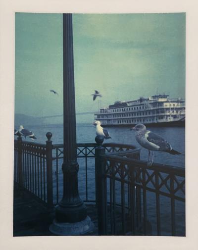 Marion BARAT - Pier 39, San Francisco, 2008 - Digital print 2
