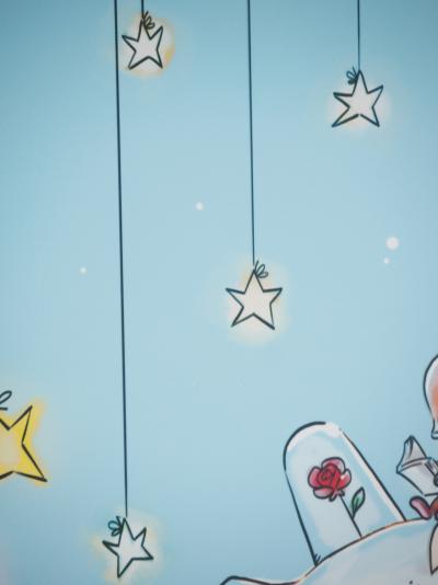 Antoine DE SAINT-EXUPERY et Jordi NEF : Le Petit Prince sur la planète fleurie, Lithographie signée 2